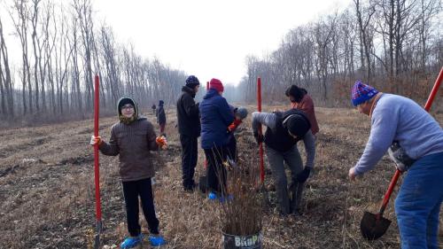 2018-12-08-AncoratiInRealitate-01