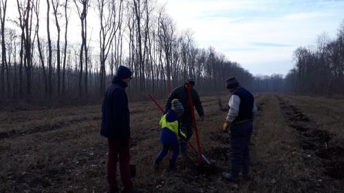 2018-12-08-AncoratiInRealitate-02